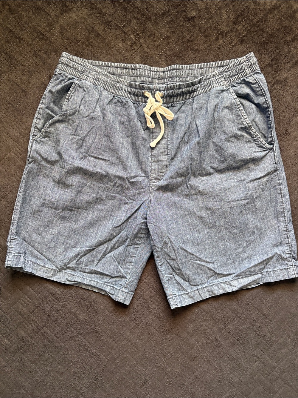 The Foundry Supply Co. Light Chambray Blue Shorts